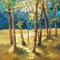 Secret Glade I Poster Print by Graham Reynolds - Item # VARPDXGS027A